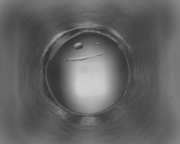 X0000061141315200511241753