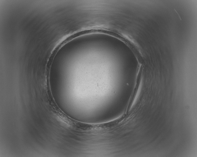 X0000061141316200511241753