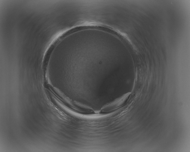 X0000061141319200511241753