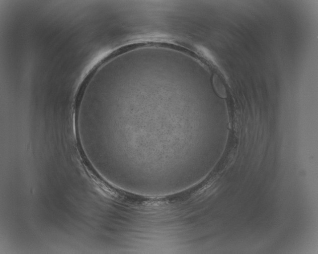 X0000061141320200511241753
