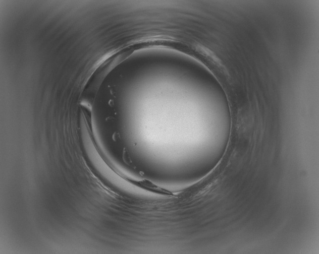 X0000061141321200511241753