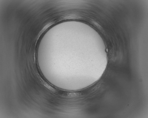 X0000061141322200511241753