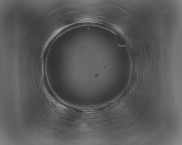 X0000061141323200511241753