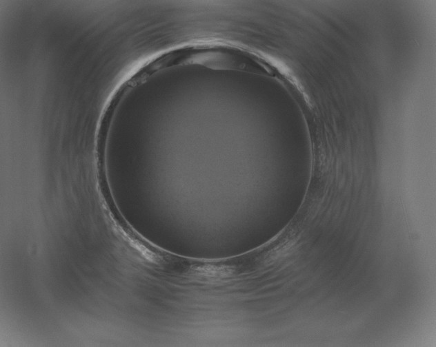 X0000061141327200511241753