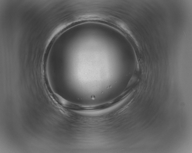 X0000061141328200511241753
