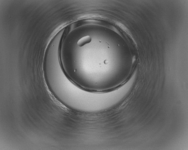 X0000061141330200511241753