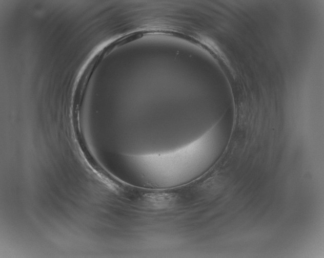X0000061141331200511241753