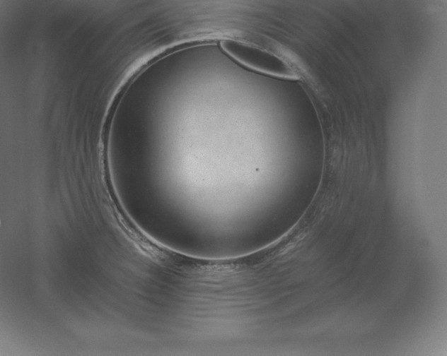 X0000061141332200511241753