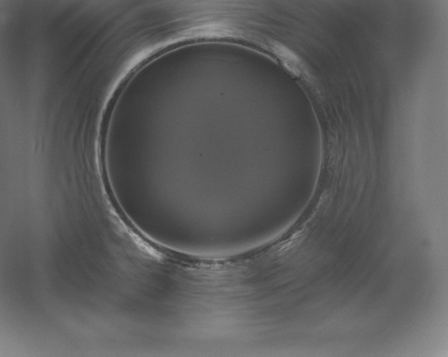 X0000061141334200511241753