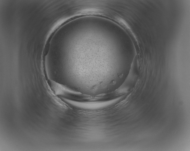 X0000061141336200511241753