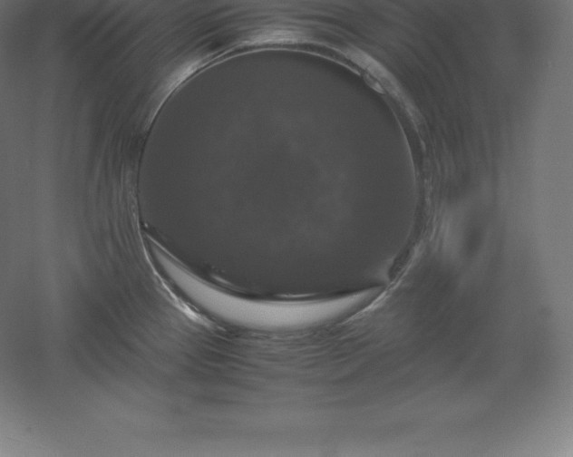 X0000061141337200511241753