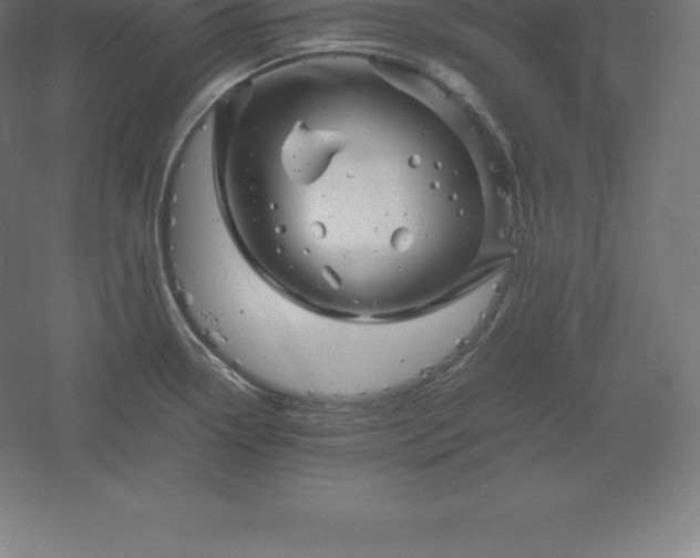 X0000061141338200511241753