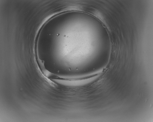 X0000061141339200511241753