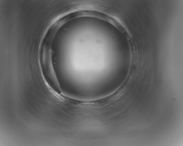 X0000061141342200511241753