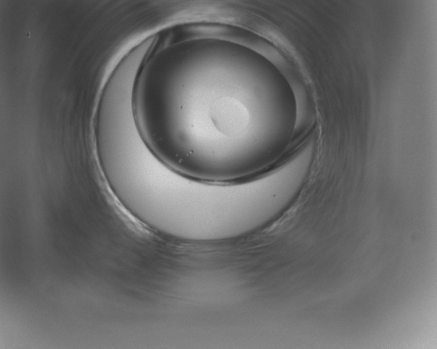 X0000061141344200511241753