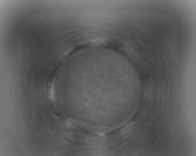 X0000061141346200511241753