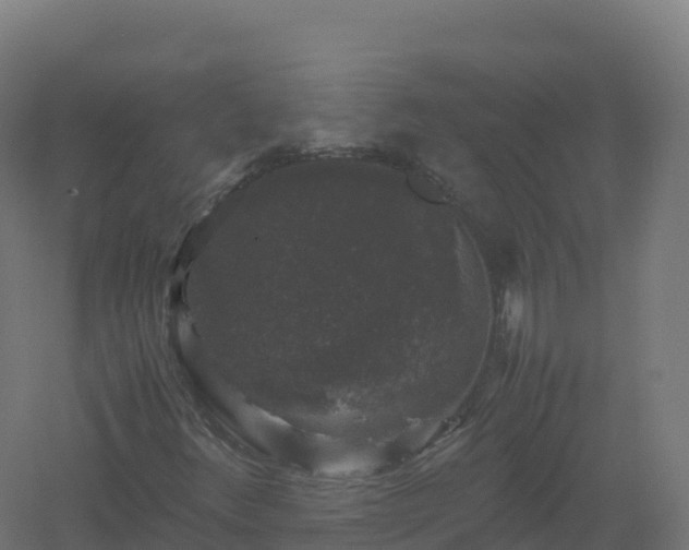 X0000061141348200511241753