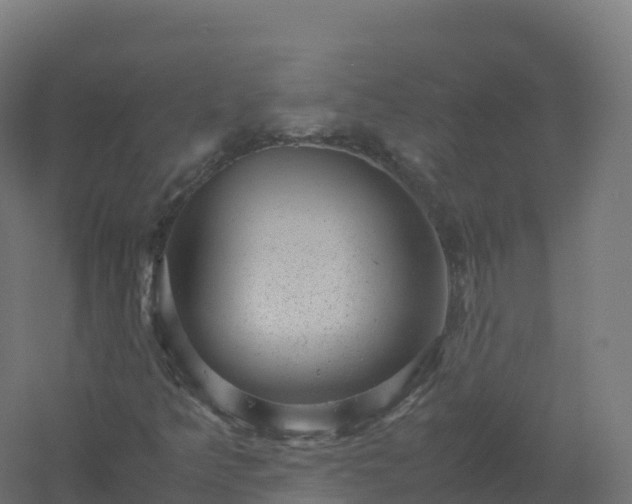 X0000061141349200511241753