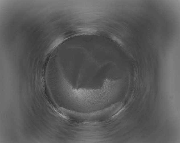 X0000061141354200511241752