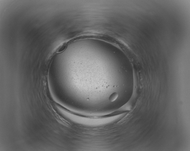 X0000061141355200511241752