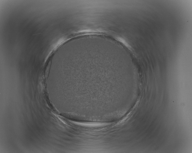 X0000061141357200511241752