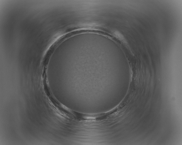 X0000061141360200511241752