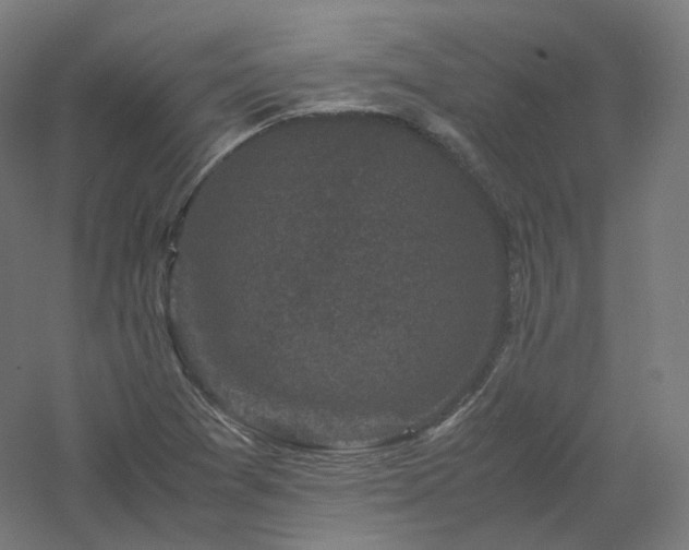 X0000061141361200511241752