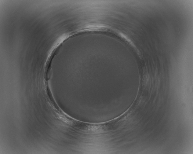 X0000061141362200511241752