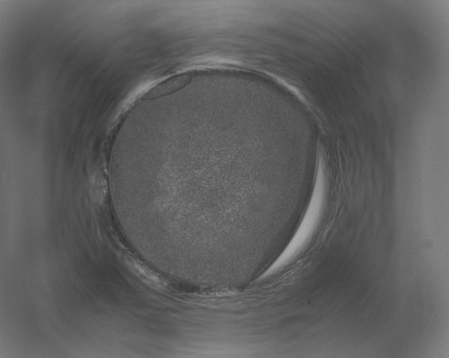 X0000061141363200511241752