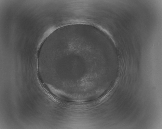 X0000061141365200511241752