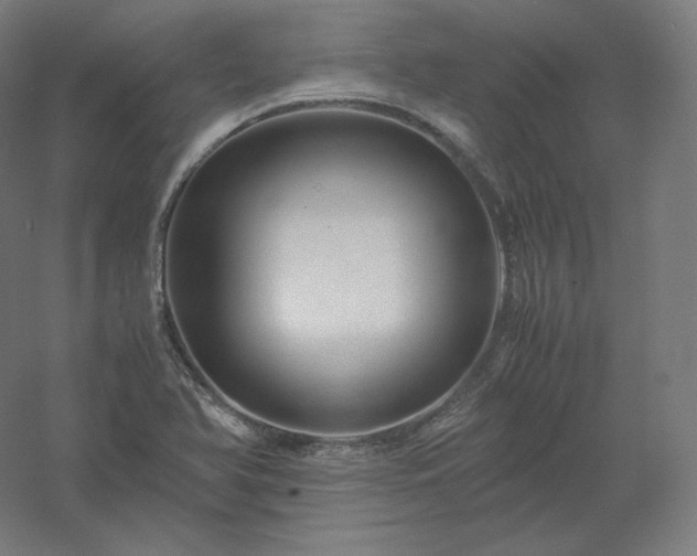 X0000061141366200511241752