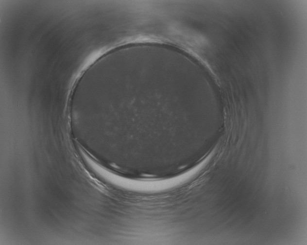 X0000061141367200511241752