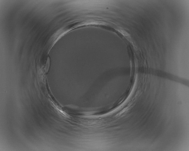 X0000061141369200511241752