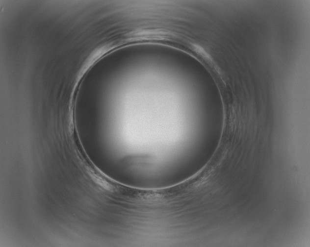 X0000061141370200511241752