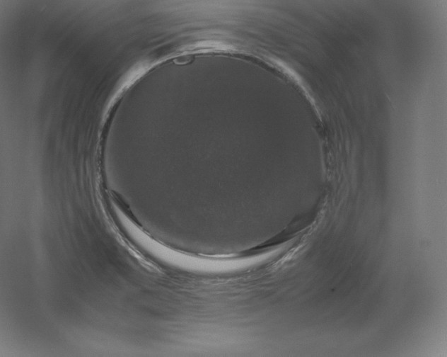 X0000061141373200511241752