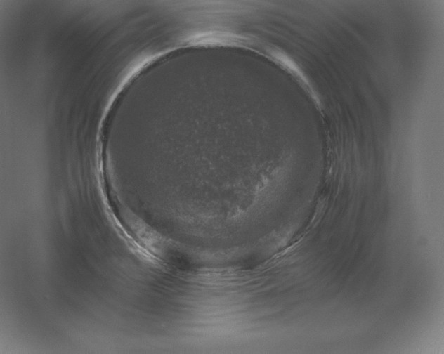 X0000061141376200511241752