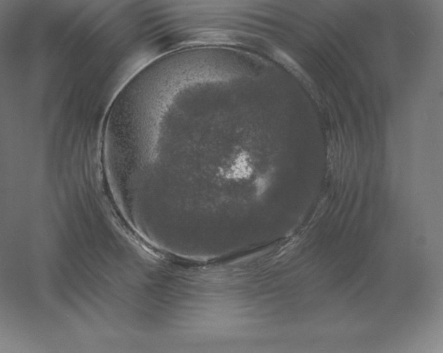X0000061141378200511241752