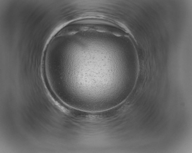 X0000061141379200511241752