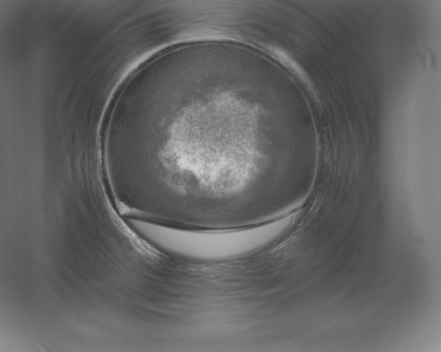 X0000061141380200511241752