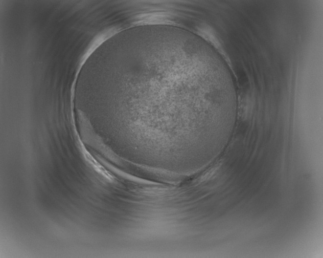 X0000061141386200511241752