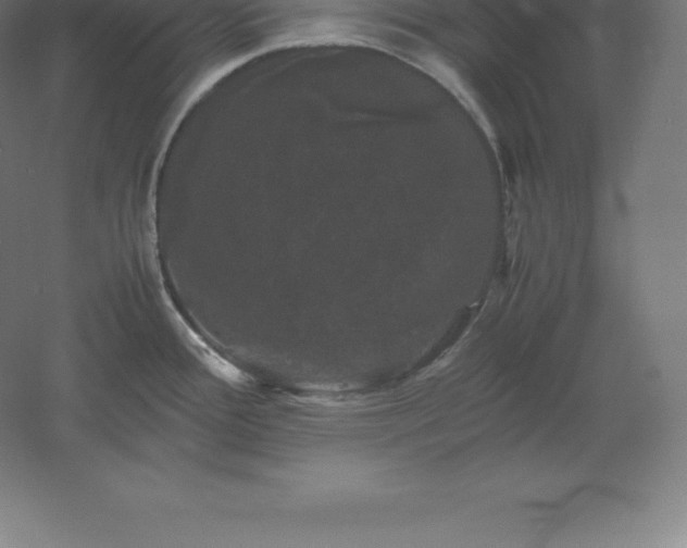 X0000061141388200511241752