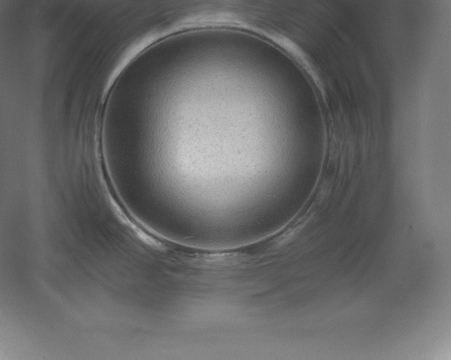 X0000061141390200511241752