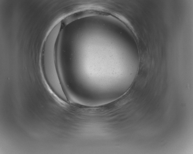 X0000061141391200511241752