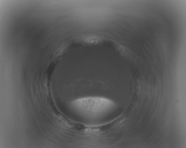 X0000061141394200511241751