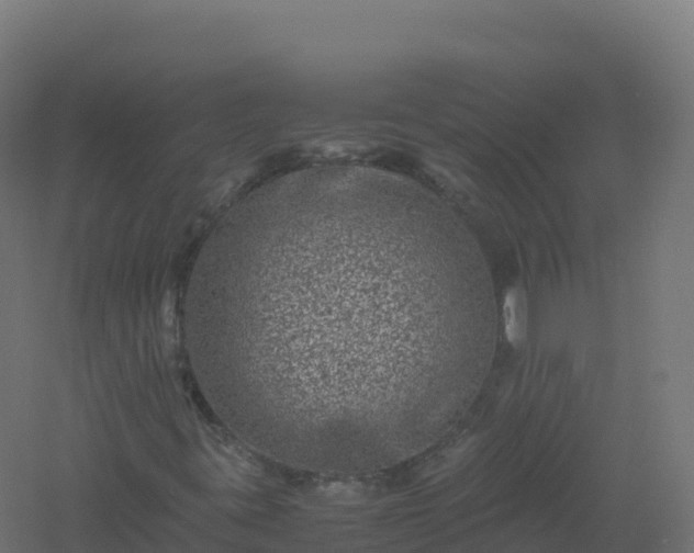 X0000061141395200511241751