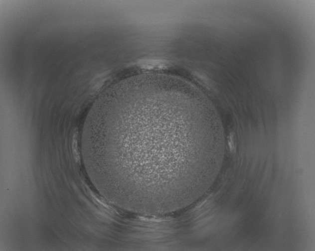 X0000061141396200511241751