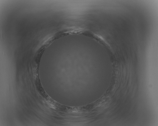 X0000061141399200511241751