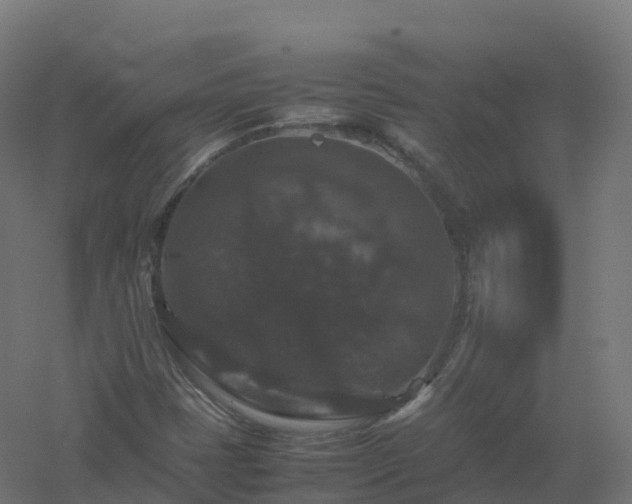 X0000061141401200511241751