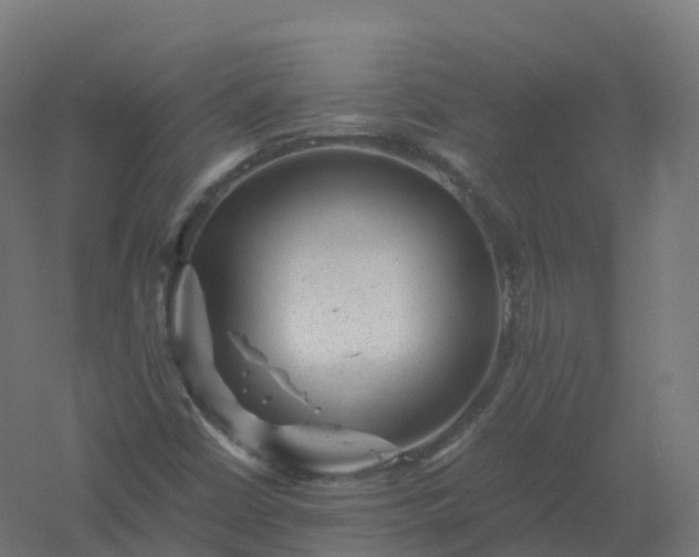 X0000061141402200511241751