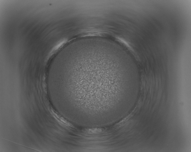 X0000061141403200511241751